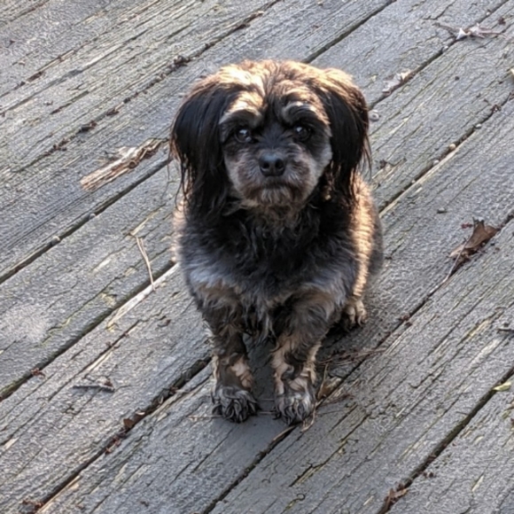 Closet Info - Picture 3 of 7